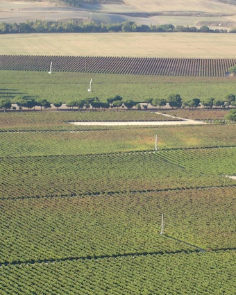 Stacks Image 995